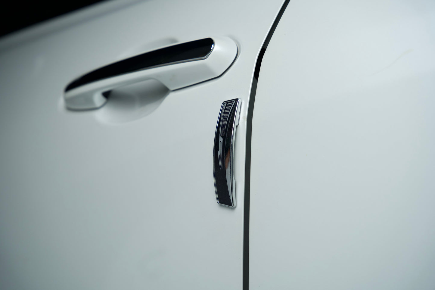 GRIPX-11 Series Universal Door Guard (Black & Silver)