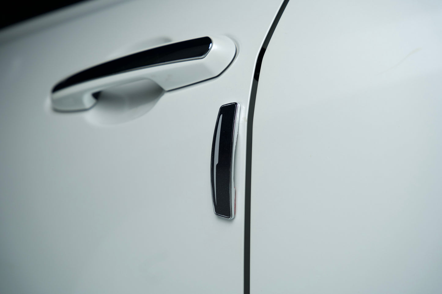 GRIPX-21 Series Universal Door Guard (Black & Silver)