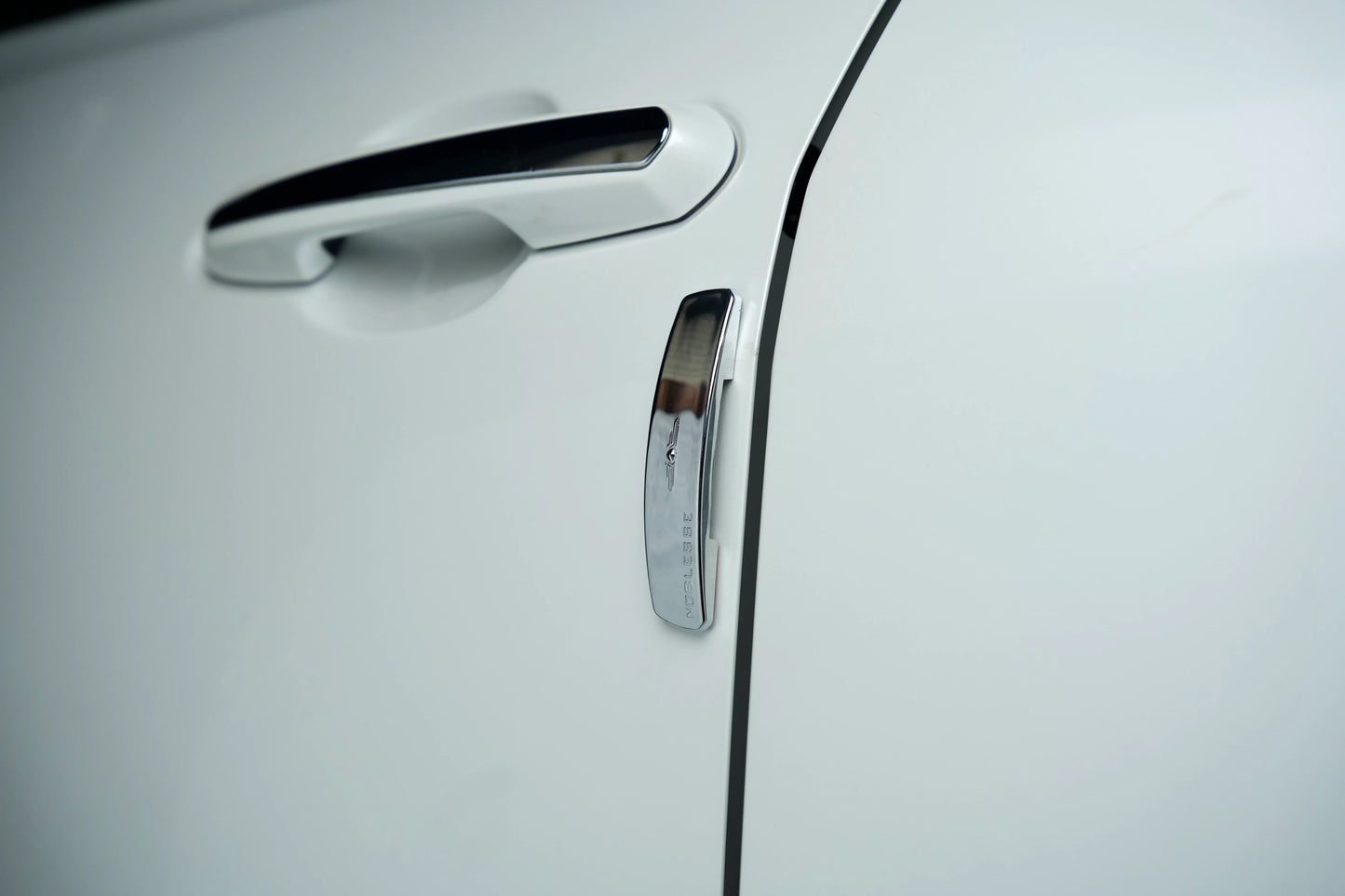 Platina Series Universal Door Guard (Chrome)