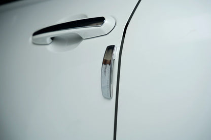 Platina Series Universal Door Guard (Chrome)