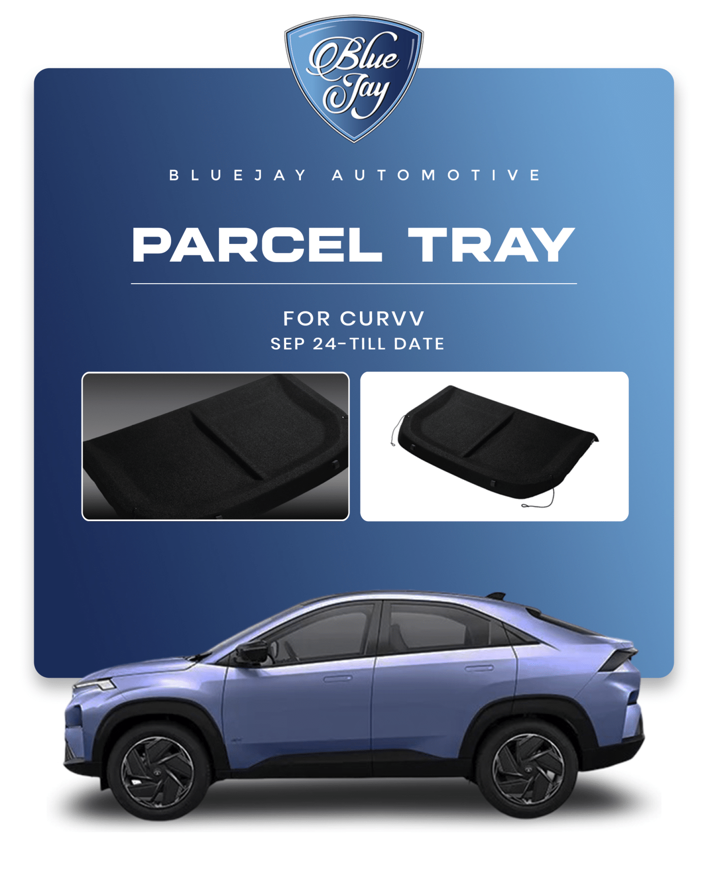 Curve 2024 Till Date Parcel Tray