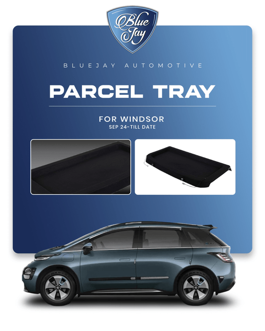 Windson 2024 Till Date Parcel Tray